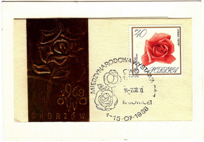 1968 [KO68 148] Międzynarodowa wystawa r&oacute;ż - Wrocław